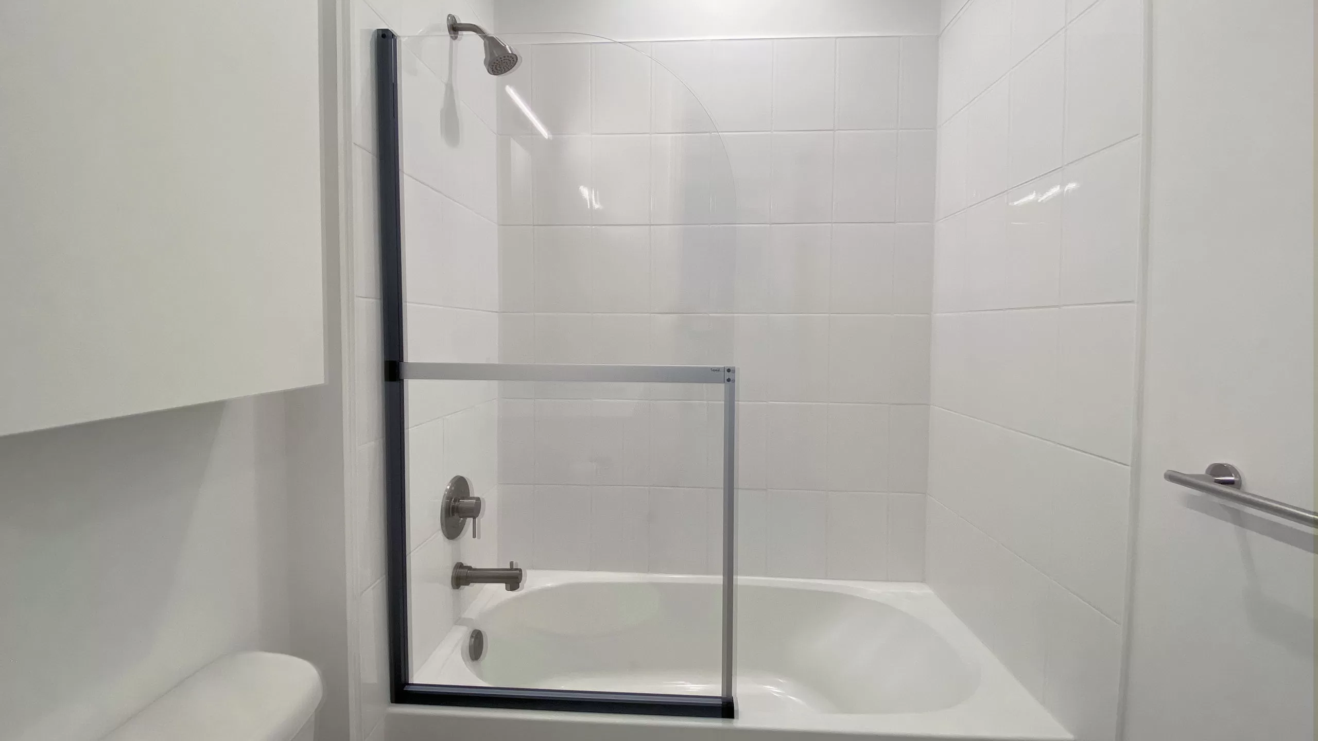 Adiós, shower curtain